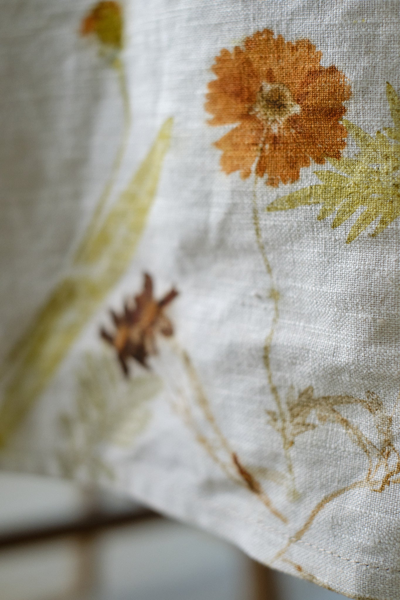 Tablecloth Coreopsis