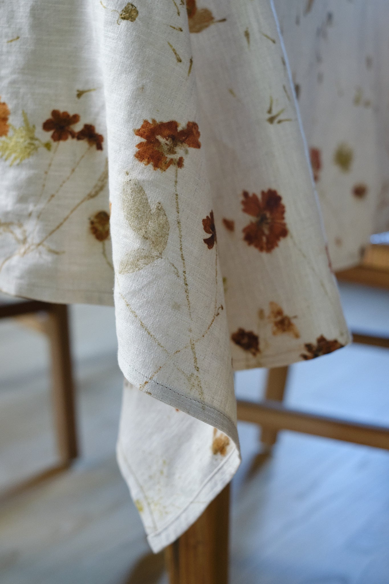 Tablecloth Coreopsis