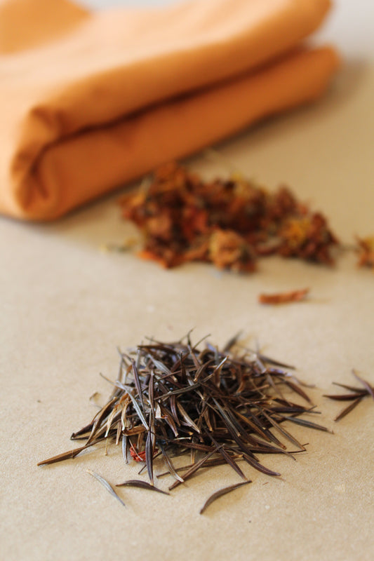 Cosmos sulphureus Seeds