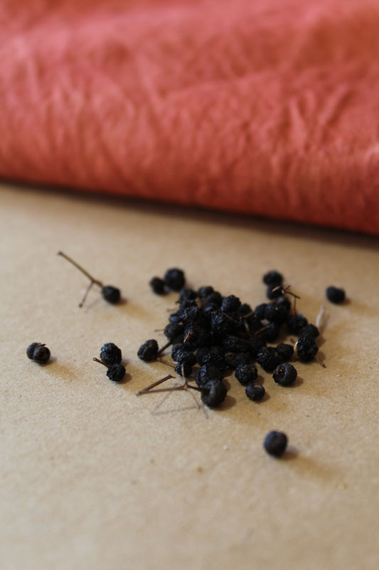 Rubia tinctorum Seeds