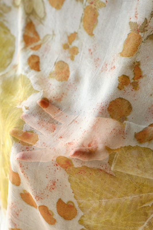 Scarf Horse chestnut tree