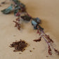 Persicaria tinctoria Seeds
