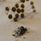 Semillas de Tanacetum vulgare