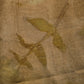 Foulard Otoño